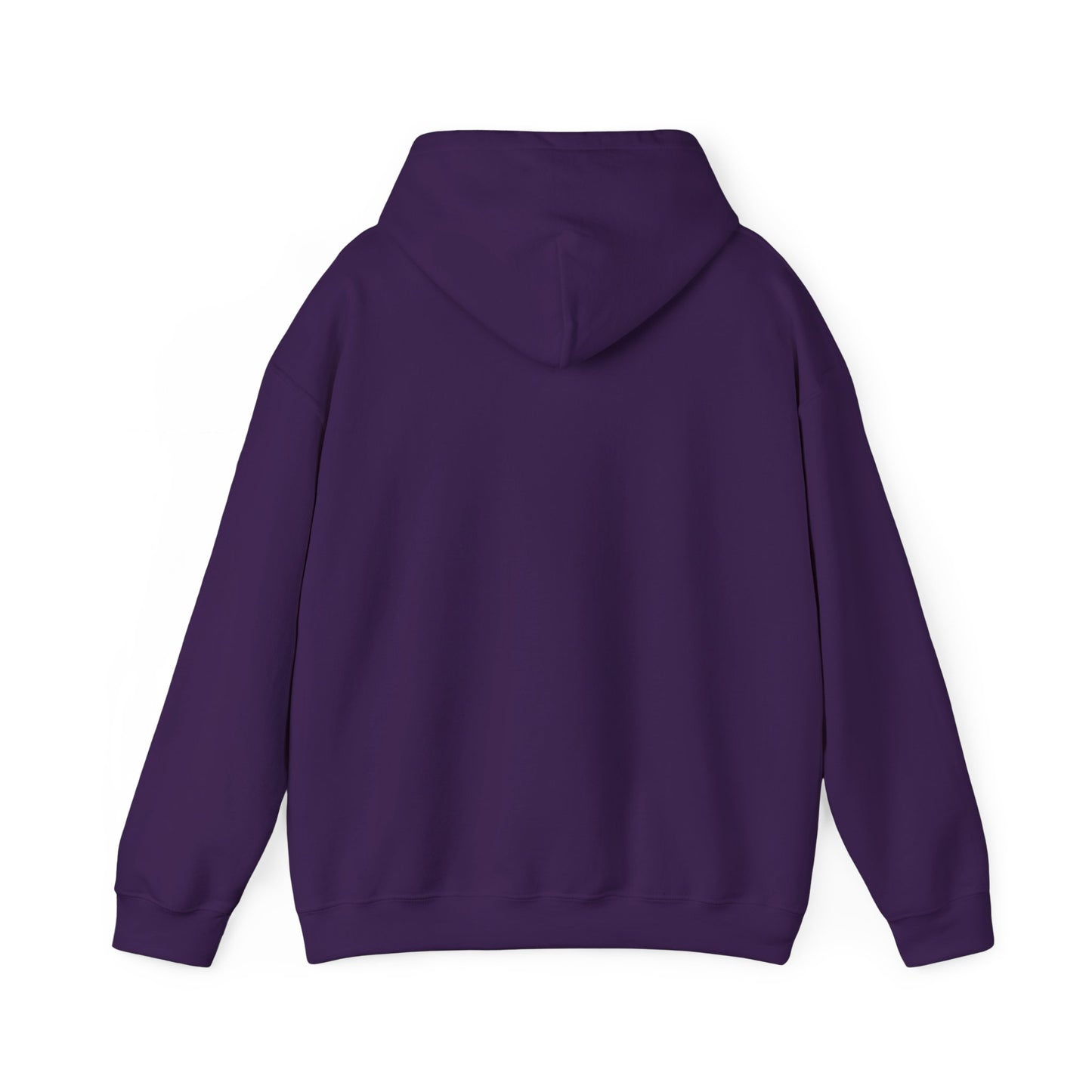 FR8yard Sparkle City Hooded Sweatshirt