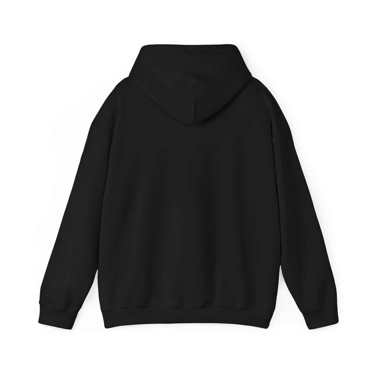 FR8yard Sparkle City Hooded Sweatshirt