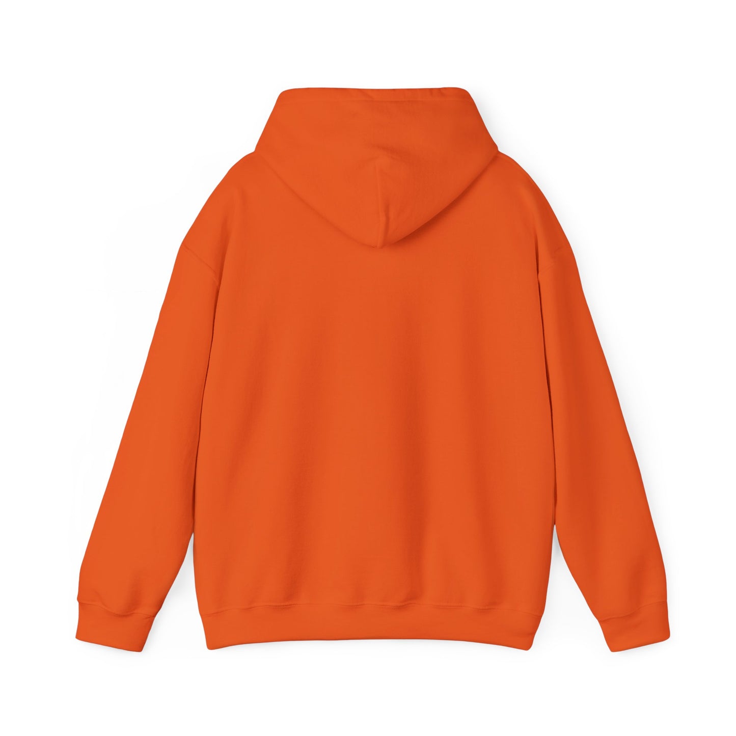 FR8yard Sparkle City Hooded Sweatshirt